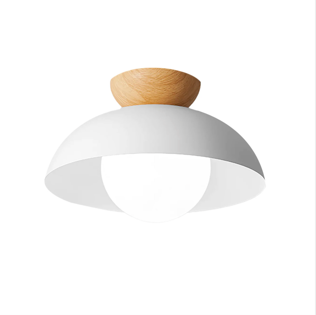 Aplique de Techo Arizona