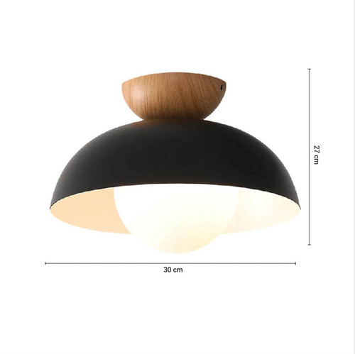 Aplique de Techo Arizona