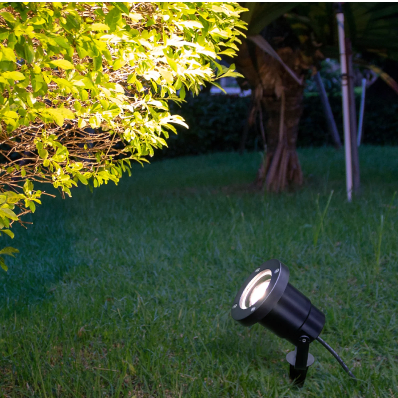 Javalina para exterior