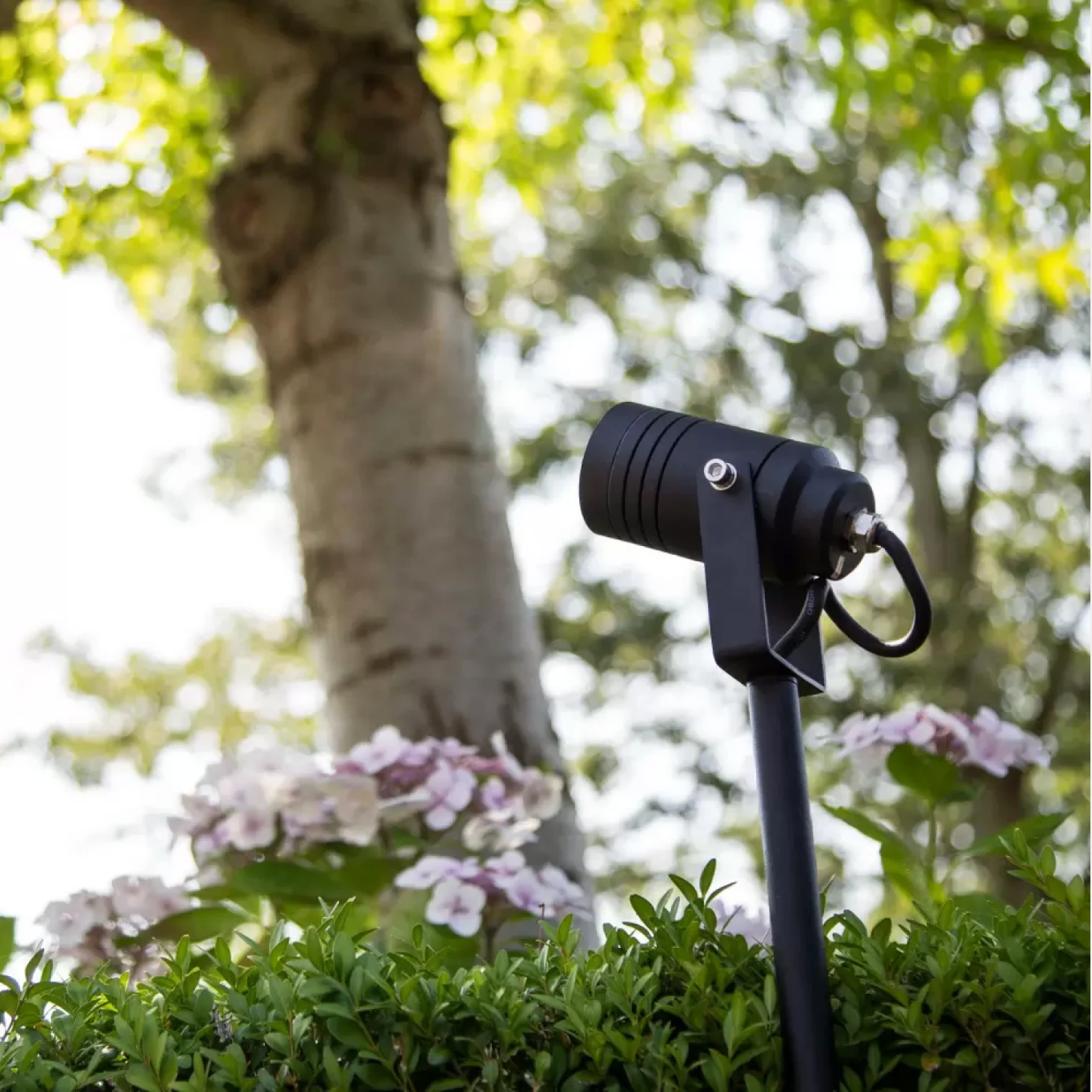 Pincho Exterior Girona