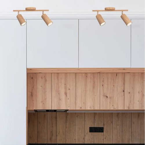 Artefacto de Techo Loto II