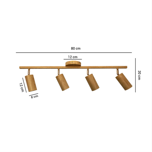 Artefacto de Techo Loto IV