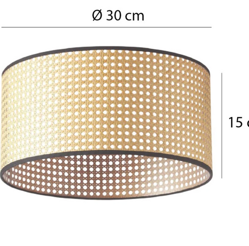 Aplique de Techo Orlando